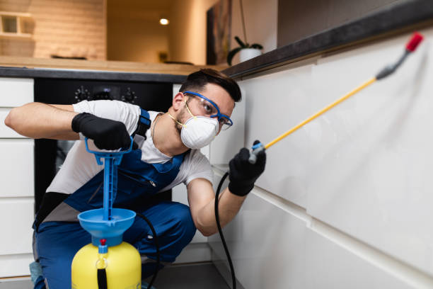 Best Flea Control Services  in Brooklyn Park, MD