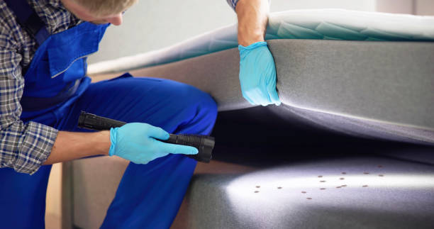 Best Mosquito Control Services  in Brooklyn Park, MD